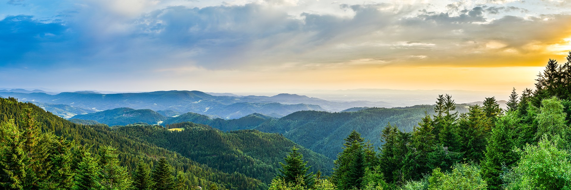 Schwarzwald Tourismus GmbH banner