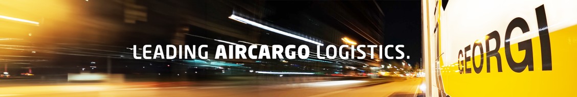 GEORGI GROUP banner