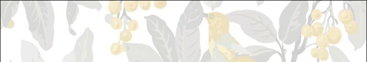 PANOS banner