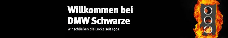 DMW Schwarze GmbH & Co. Industrietore KG banner