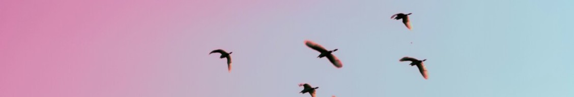 Linklaters banner