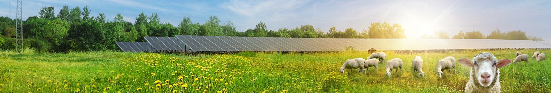 EAM | Energie aus der Mitte banner