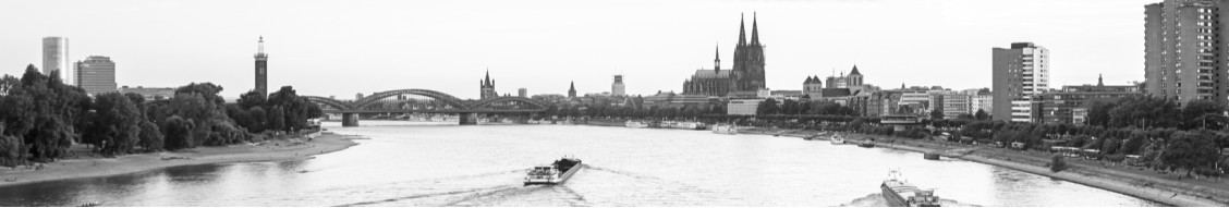 Blum Immobilien GmbH banner