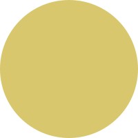 rheingold Institut logo