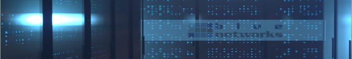 blue networks GmbH banner