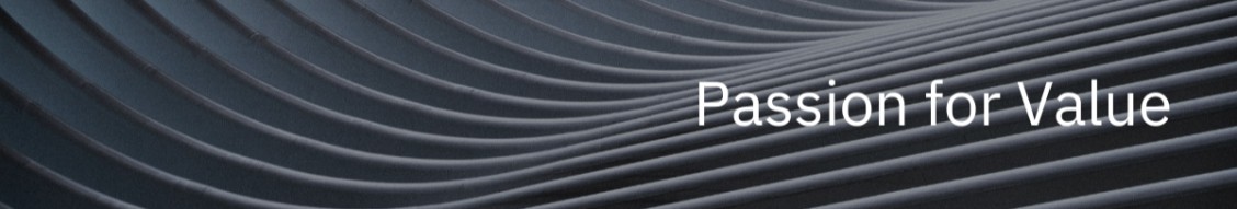 Pava Partners banner