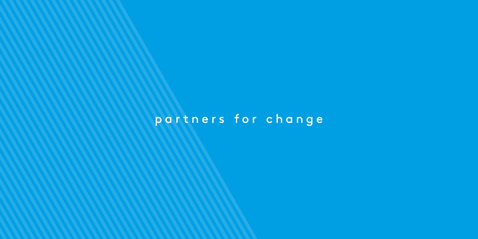 zeb consulting banner
