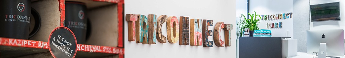 TRICONNECT Consulting GmbH banner