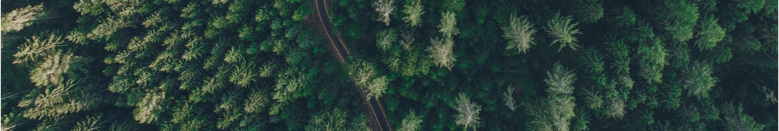 Holz-Tusche GmbH & Co. KG banner