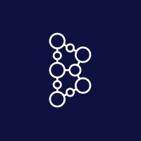 BOREK SOLUTIONS GROUP logo