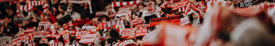 VfB Stuttgart 1893 banner