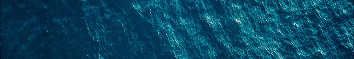 Gasfin banner