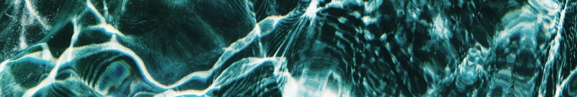 sonntag banner