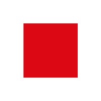 VOK DAMS worldwide logo