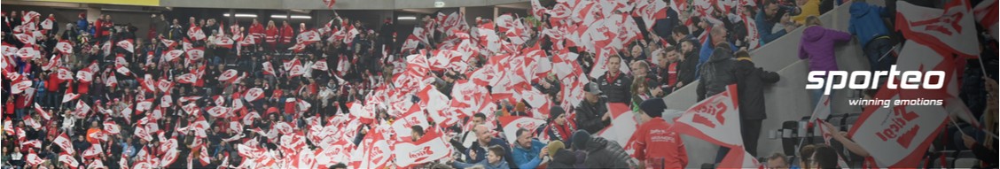 sporteo Int. Sportmanagement AG banner