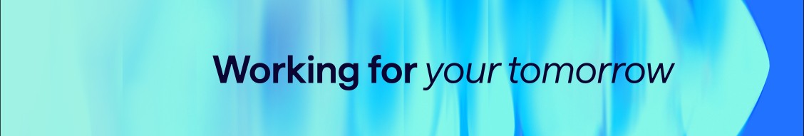 Hays banner