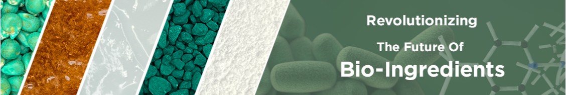 BIOWEG banner