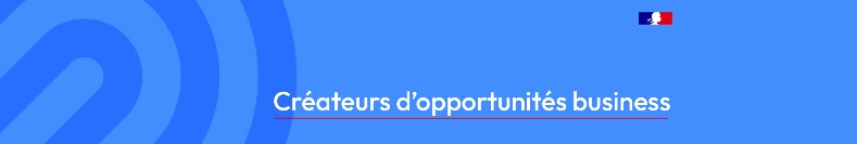 Business France banner
